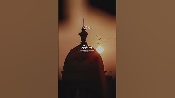 اكتب شيء تؤجر عليه ❤️ // قران كريم | ياسر الدوسري