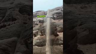 Do You Think They Can Survive?