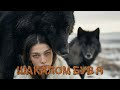 Шакалом був я 