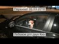 Перехват 06.03.2018 Лобовое дтп двух Киа