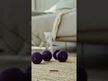 Carpet Cleaning Orem UT - Don't Let Your Carpets Fool You!