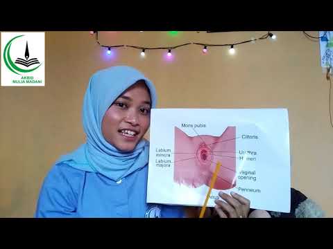 Video: Apa saja jenis hambatan reproduksi?