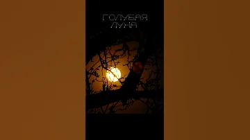 ГОЛУБАЯ ЛУНА