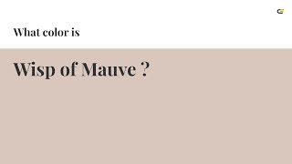 Wisp of Mauve color #d9c7be hex color - Orange color - Cool color d9c7be