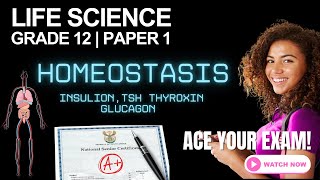 Life Science | Paper 1 Exam Revision | Homeostasis - Endocrine System (Grade 12 CAPS)