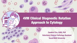 【Veterinary Cytology】Approach to Cytology screenshot 1