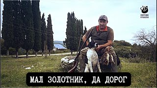 Мал золотник, да дорог // Спутники охотника // Серия 3