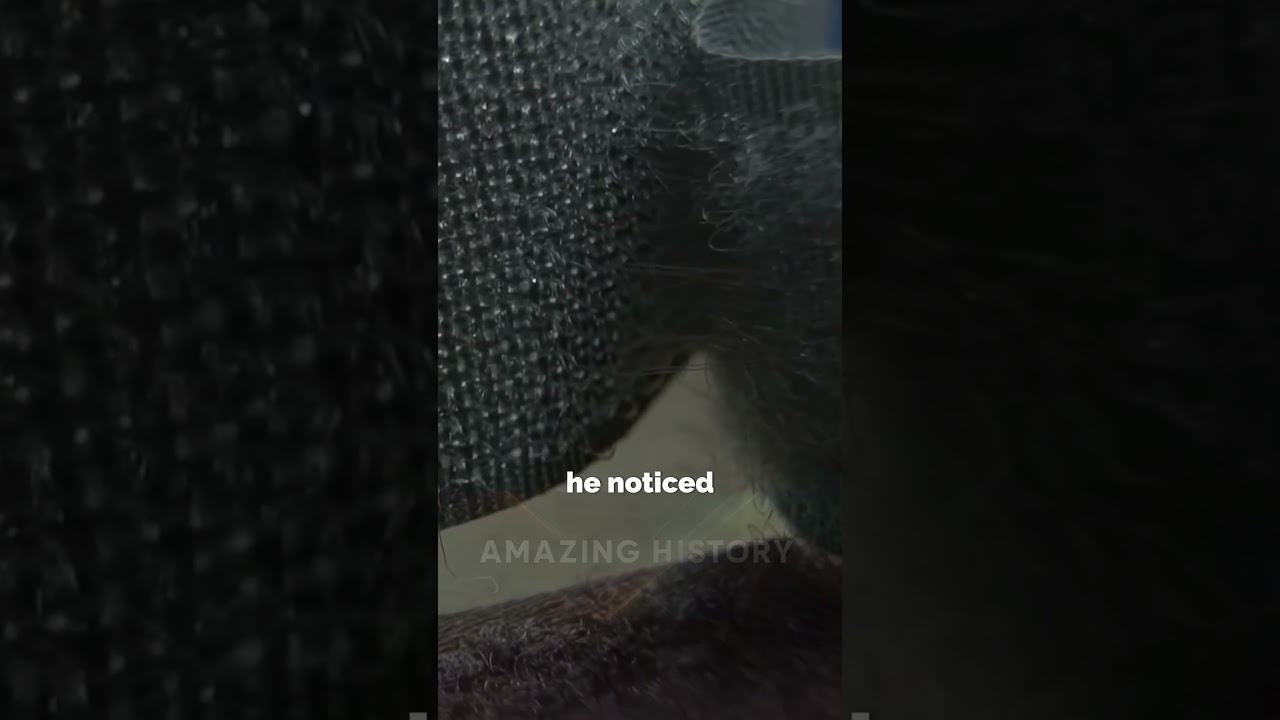 Заусенцы на шерсти собаки положили начало глобальной революции в сфере крепежных изделий 🌿