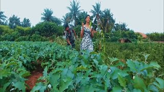 Thimiran தமரன Emoti Love Story Romantic Song