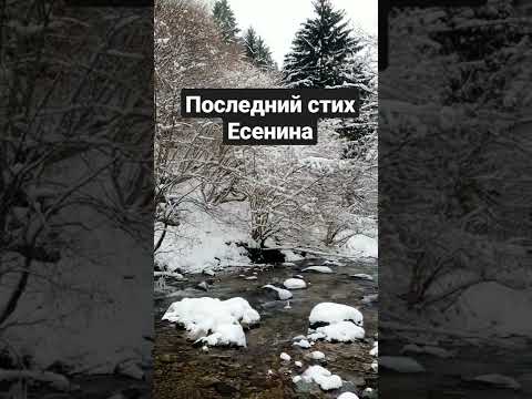 Последний стих Есенина