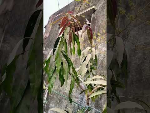 @suresh.farmerrfanpage @Nethra_Sadhu @BBtalks-2716@Minigreenfood