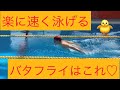 【水泳】【バタフライ】全国で戦ってきた私が体験を基にお伝えしていきます♡