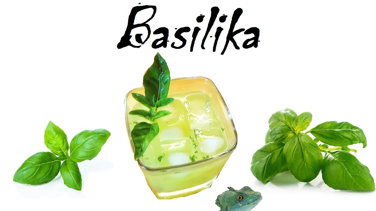 Hard Kokki: Basilikan kasvatus