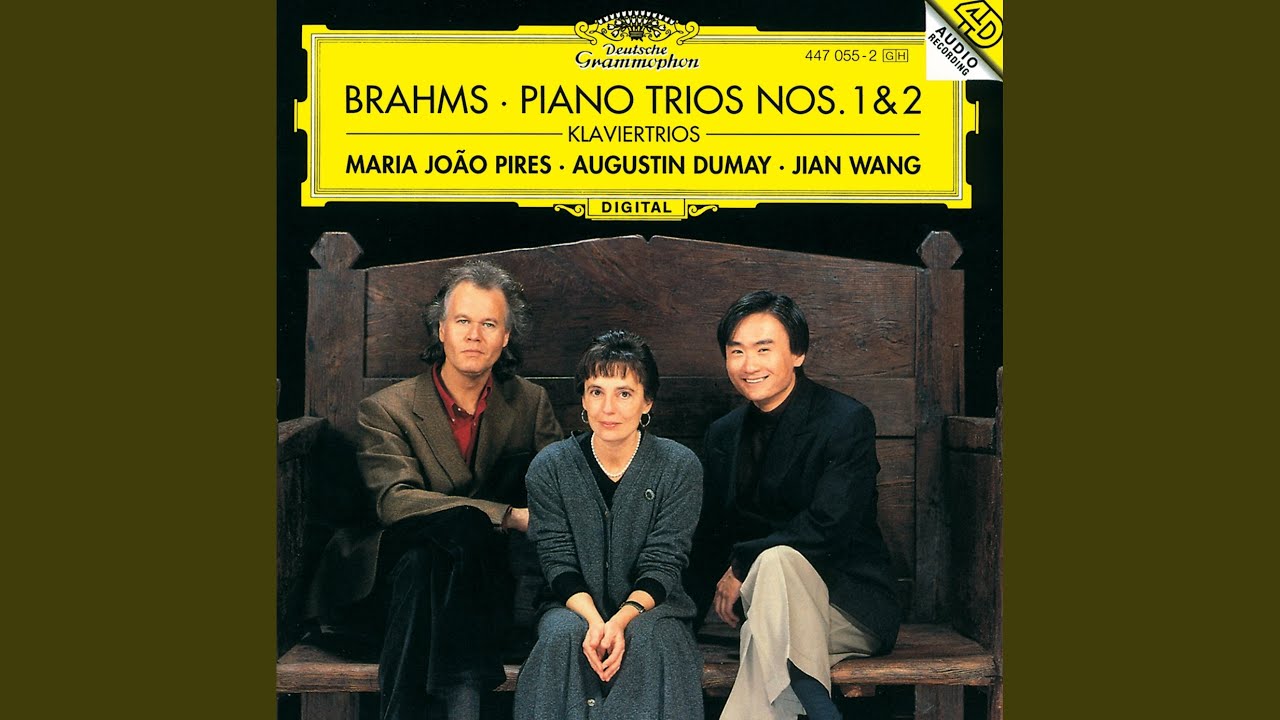 Brahms: Piano Trio No. 1 in B Major, Op. 8: IV. Finale. Allegro