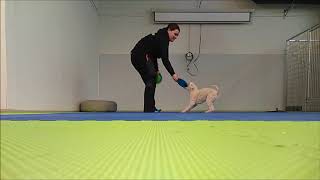 Heka Treenaa Almavetillä 9.3.2018