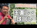 【12回目】メロン作業『球回し・玉直し』動画で解説：北海道 富良野 メロン農家の寺坂農園