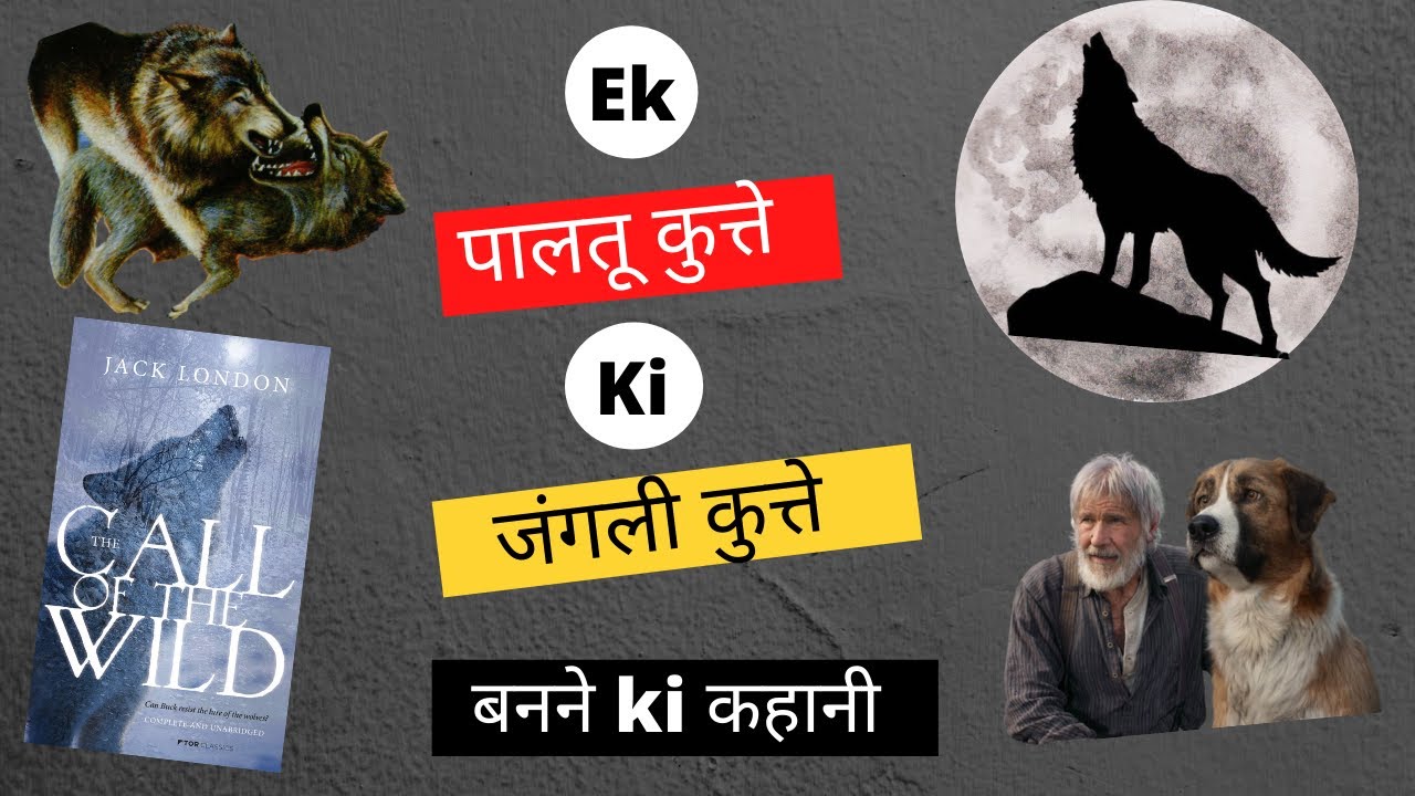 Call of the Wild | Book Summary in Hindi | Jack London | StoryTeller