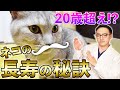 【大公開!!】獣医による猫が長生きする秘訣5選!!