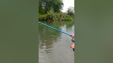 Câu "Lure" Cá Mương Lại Dính Cá "Rô Phi"...#shorts #câulure #lurefishing