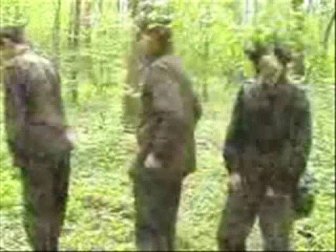 Wizo - Blöd genug für diese Welt