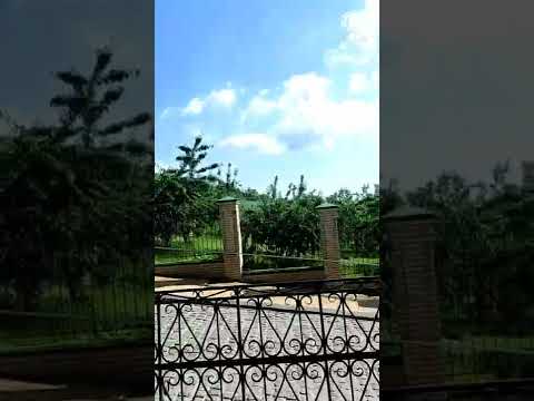 Если враг докучает! Старец Амвросий Оптинский