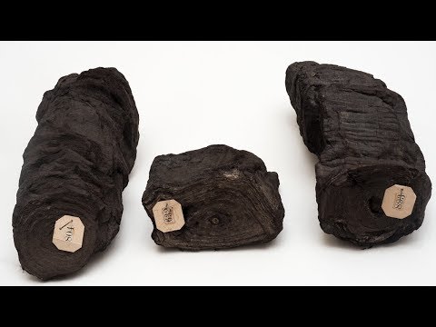 Reading the Herculaneum Papyri: Yesterday, Today, and Tomorrow - Reading the Herculaneum Papyri: Yesterday, Today, and Tomorrow