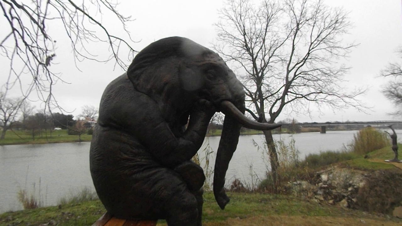 Wise Elephant by Trevor O'Tool another sculpture of the Cameron Park