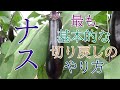 ナス、最も基本的な切り戻しのやり方
