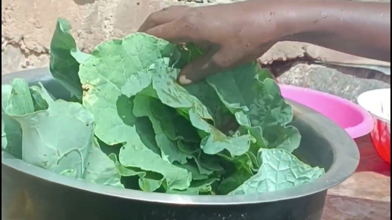 Young Kenyan Woman Growing Her Own Food | My First Sukuma Wiki Harvest 🥬 | Kenyan Village Life