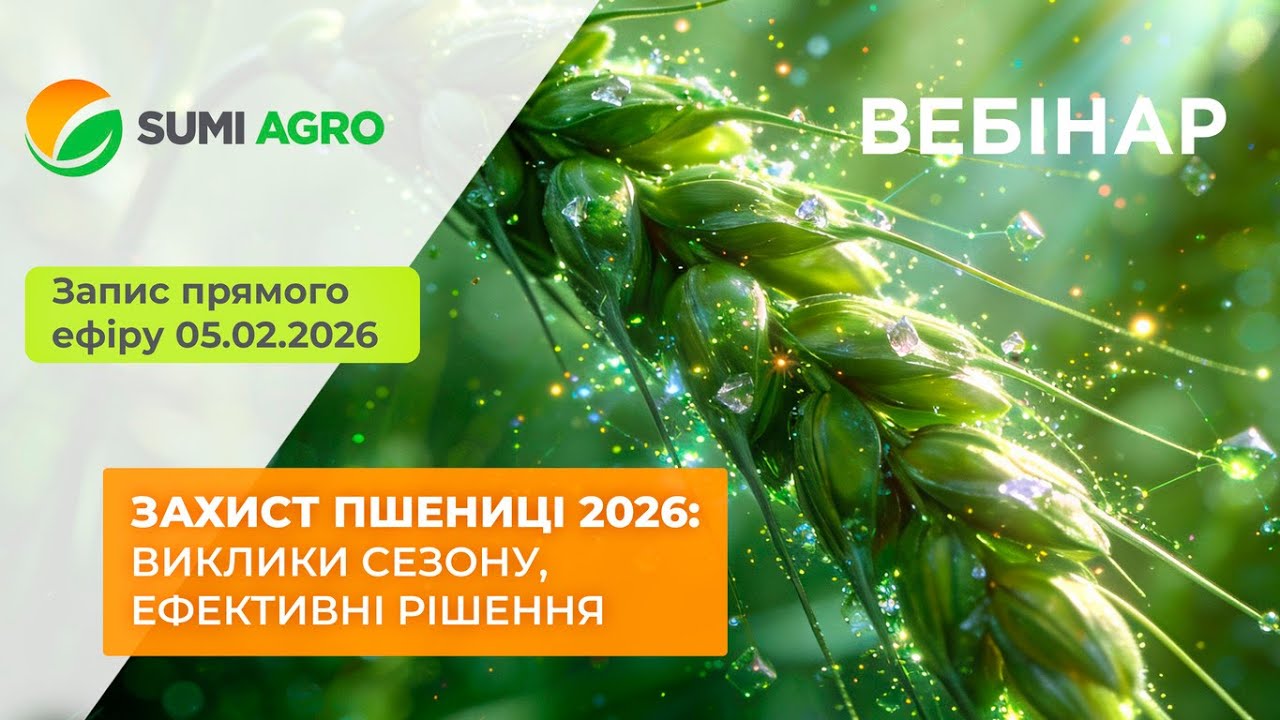 ЗАХИСТ ПШЕНИЦІ 2026: ВИКЛИКИ СЕЗОНУ, ЕФЕКТИВНІ РІШЕННЯ
