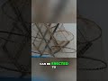 Fog Nets: Harvesting Water from Thin Air!