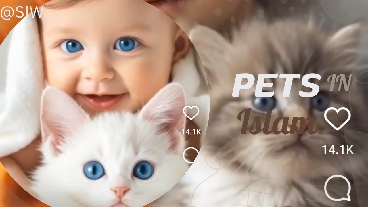 "Why Cats Are Special in Islam: Lessons from Prophet Muhammad!"😽||PetCare