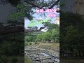 녹아버려요 마음 쉬어가는 한 곡 박지현 숨노래TV 녹아버려요 마음 쉬어가는 한 곡 박지현 숨노래TV