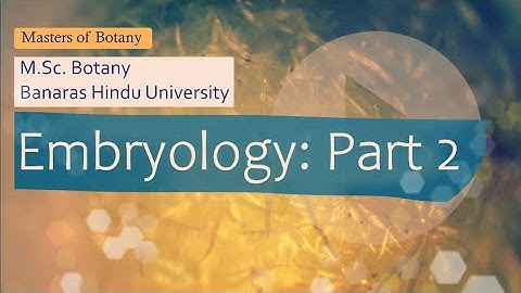 Embryology: Part-2 | BHU M.Sc. Botany Entrance Exam | Answer & Explanation [2008-2020 Questions]