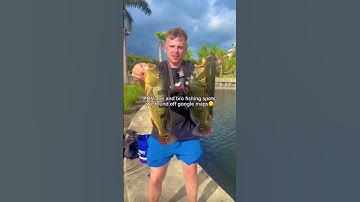 Google maps is GOATED!😎 #fishing #quickcatchandrelease #fishingvideo #fishtok #viral