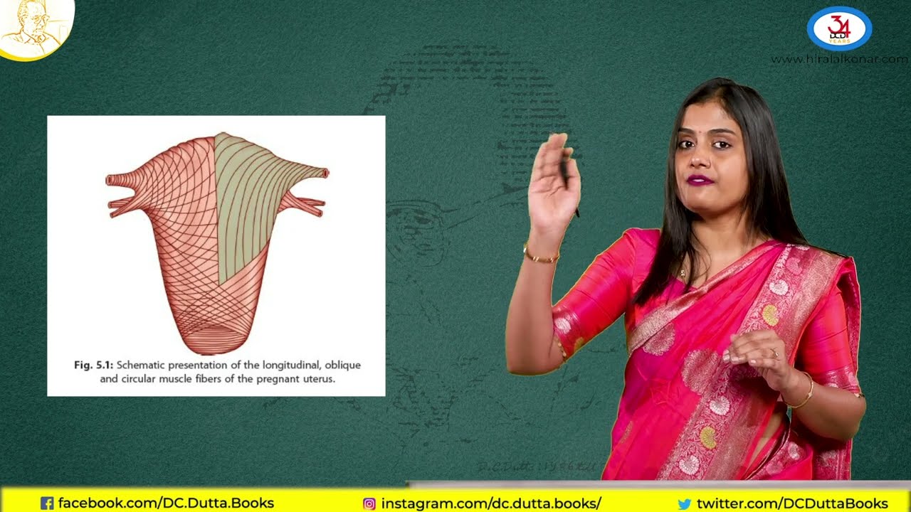 Lecture Series: Physiological changes in uterus