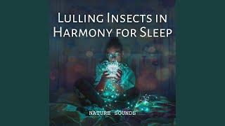 Soothing Insect Serenade
