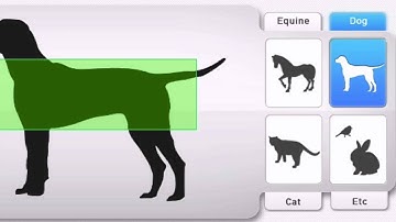 ExamVue - DR Digital X-Ray System - software demo