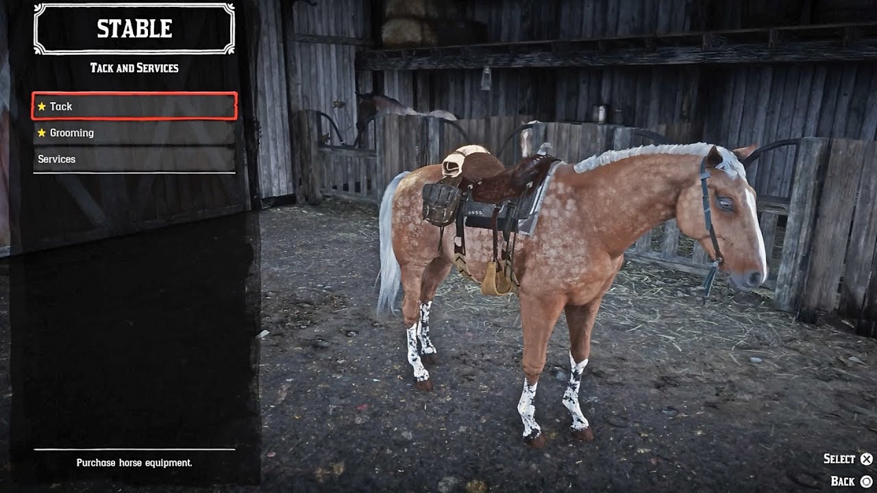 rdr2 best horse to buy