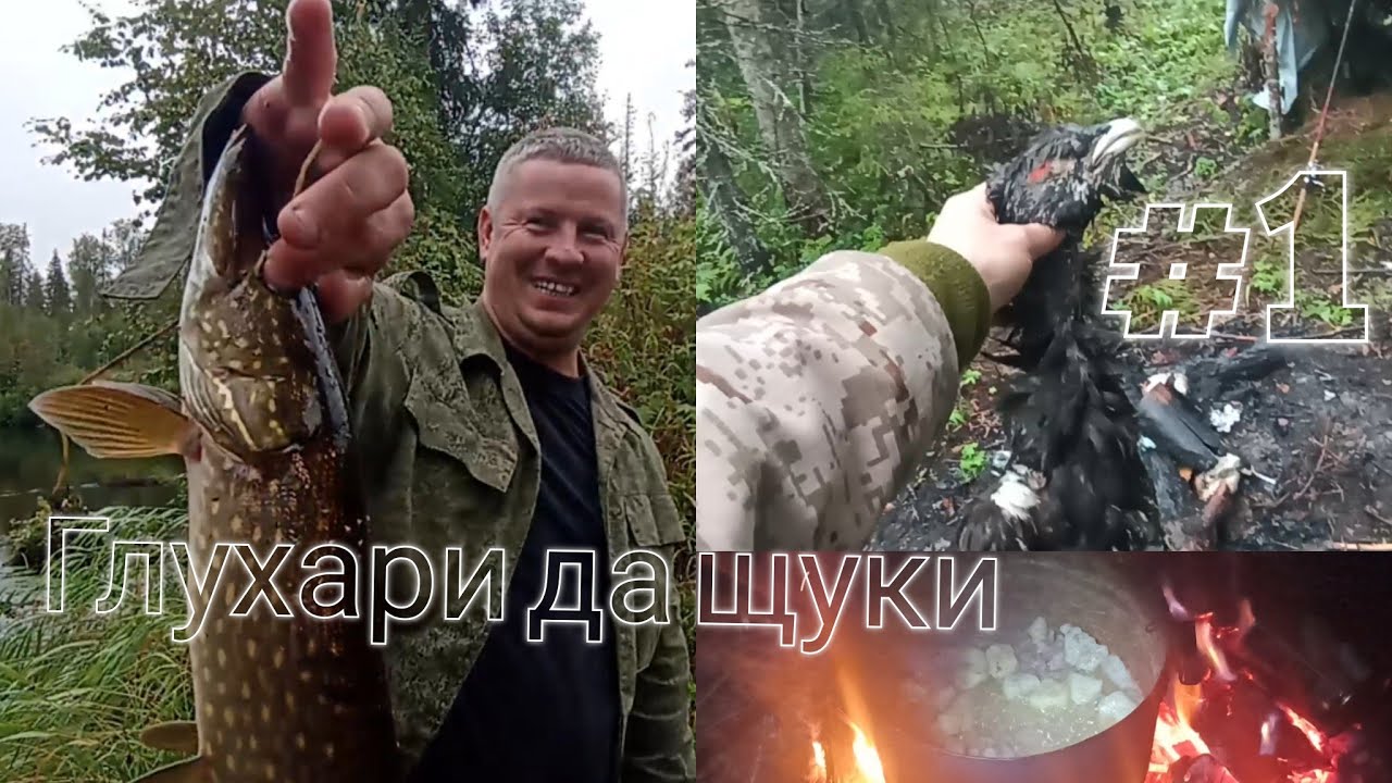 Глухарь в лесу I щука на реке - YouTube