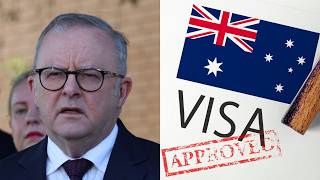 Australian productivity ‘completely hopeless’ after years of ‘lazy’ economic policy