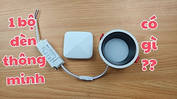 1 bộ đèn Thông minh Zigbee Tuya sẽ gồm có những gì Luxlighting.vn
