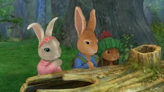 Peter Rabbit S01E25 The Tale of the Squeaky Toy   The Tale of the Flying Rabbits