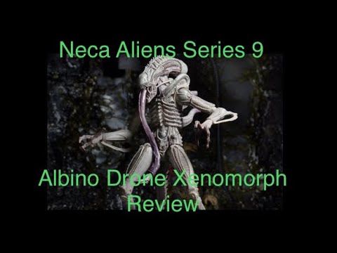 Neca Aliens Albino Drone Xenomorph review