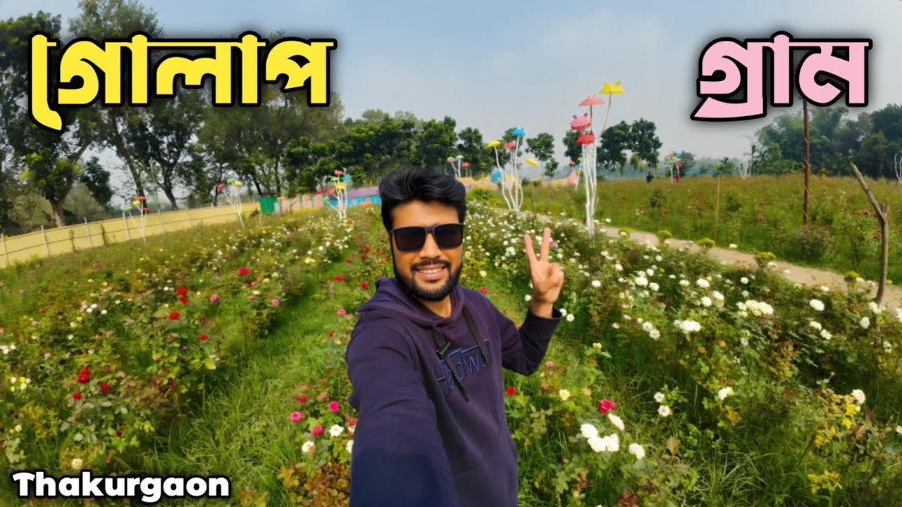 ঠাকুরগাঁও শহরে গোলাপের রাজ্য | গোলাপ বাগান | Thakurgaon golap bagan | Rose Garden I travel vlog