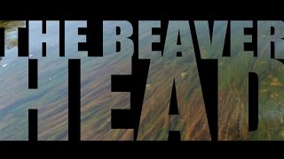 Epic Montana Trout Rivers - The Beaverhead