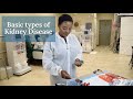 Types of kidney disease