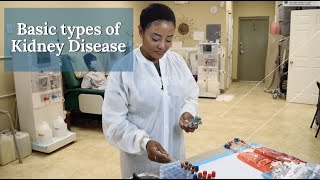 Types of kidney disease by Utopia HCC 26,756 views 3 years ago 3 minutes, 24 seconds