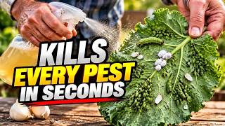Kills Aphids in Seconds (Whiteflies, Spider Mites, Mealybugs and Other Soft Garden Pests) screenshot 5