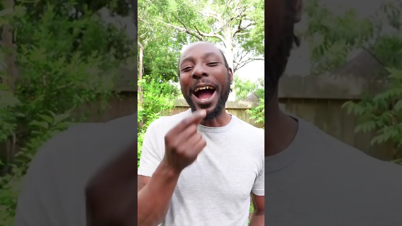 The blueberries are RIPE 😁🫐 